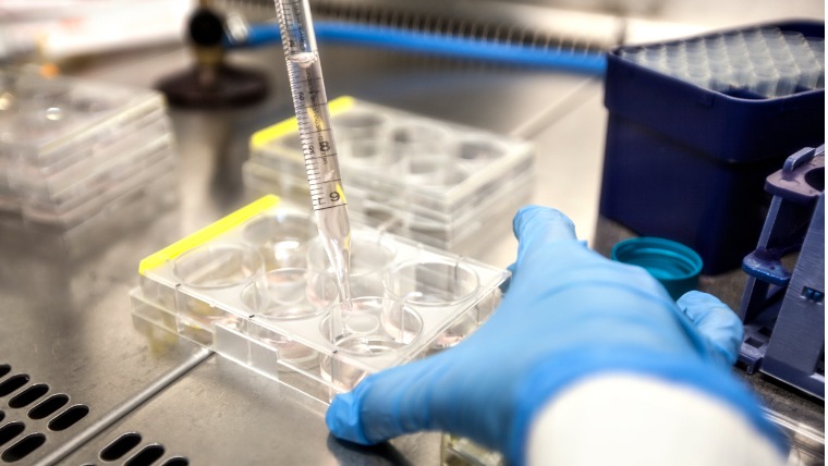 Preservação fertilidade feminina